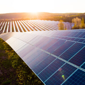 Solar panels (solar cell) in solar farm with sun lighting to cre